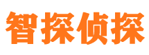 新田市婚外情取证